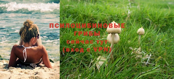 mdma Кукмор
